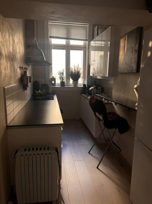 Royal Neighbourhood Elegant Flat In Oslo